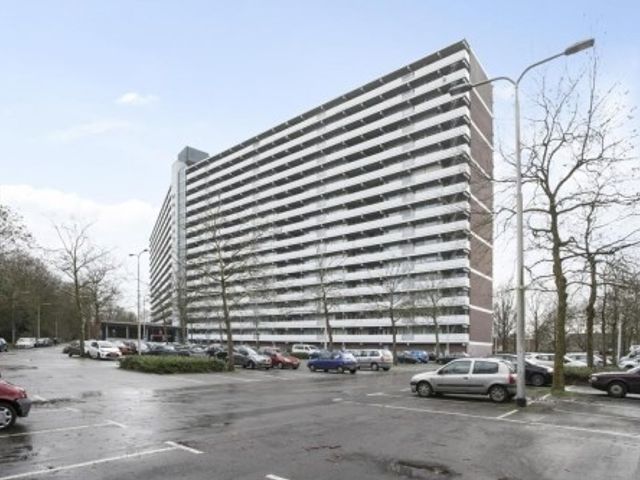 Mozartlaan ONG, Tilburg