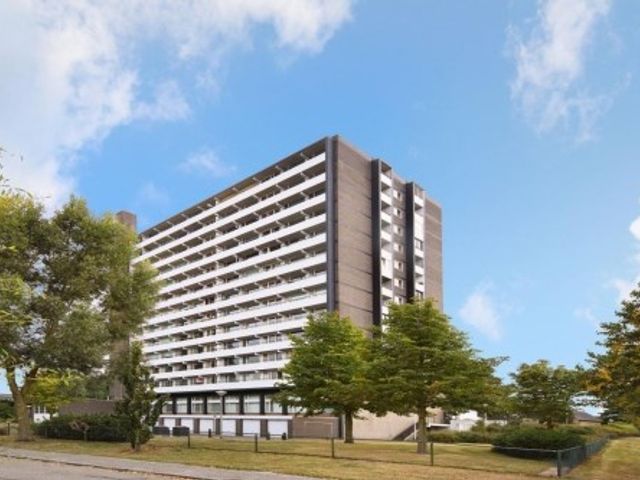 Hogeschoorweg ONG, Venlo