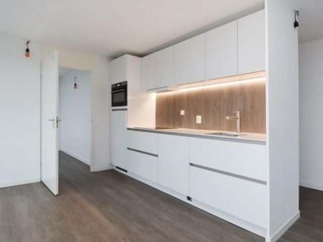 Hogeschoorweg ONG, Venlo