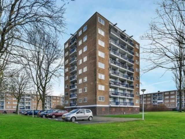 Zuidervaart ONG, Zaandam