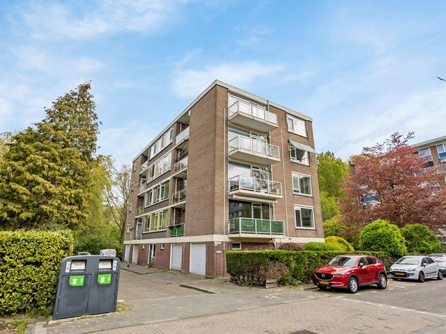 Roemer Visscherstraat 210, Vlaardingen
