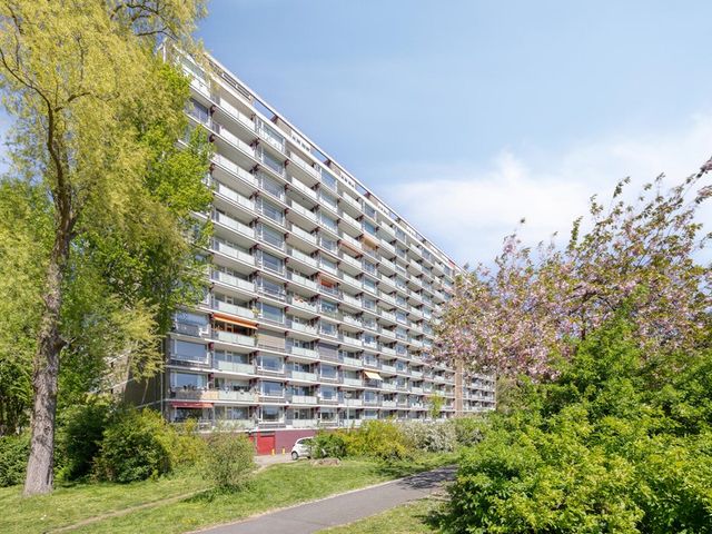 Heiloostraat 435, Den Haag