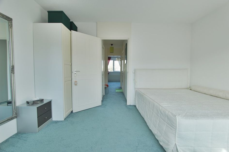 Dwergvinvisstraat 92