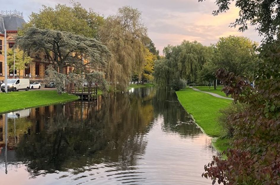 Noordsingel 48A03 A