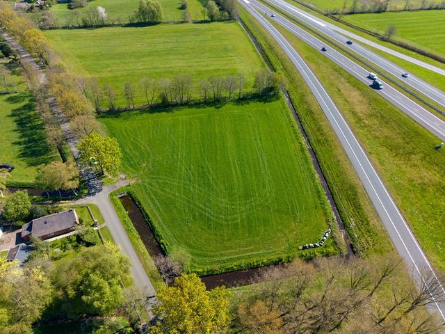 Hamrik 4, Marum