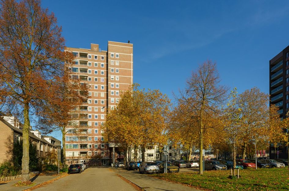 de Greide 61