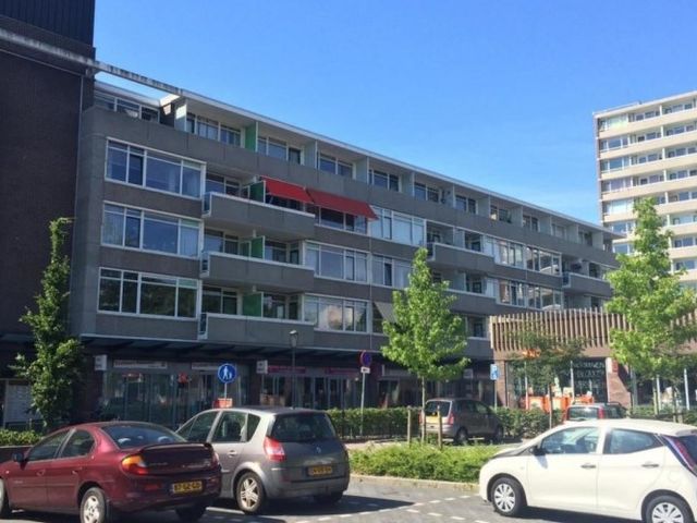 Van Ostadelaan , Alkmaar