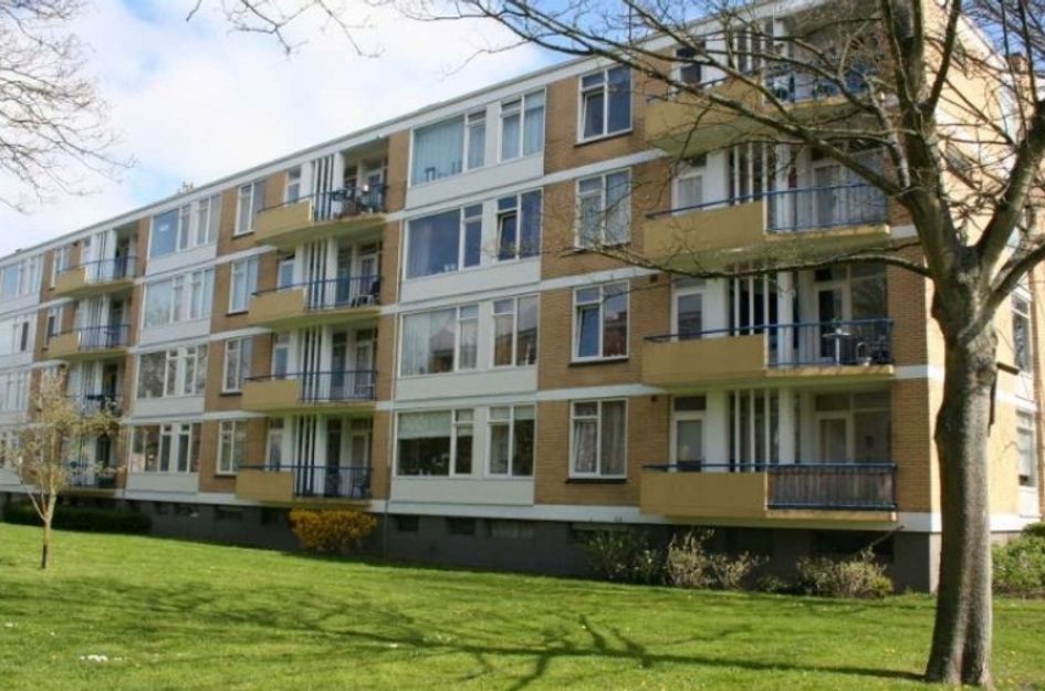 Van Ostadelaan 