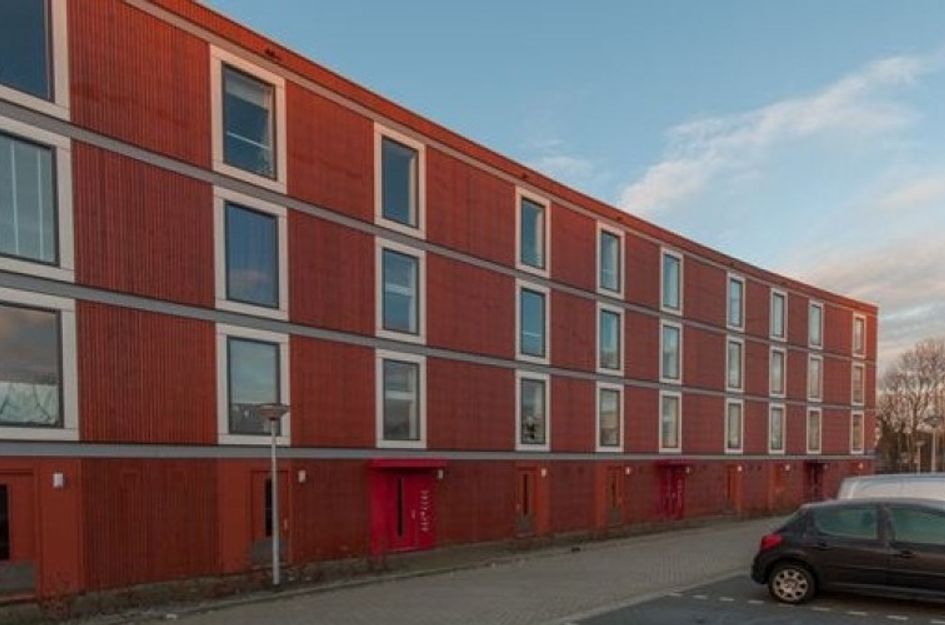 Tuinderswerf 