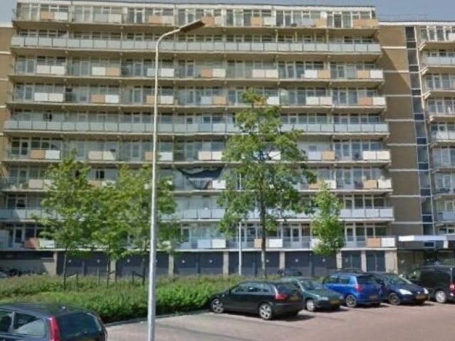 Lupinesingel , Alphen aan den Rijn
