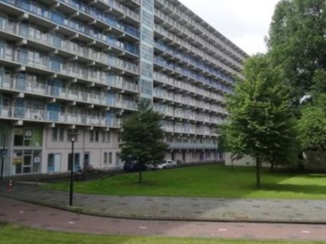 Hogevecht , Amsterdam