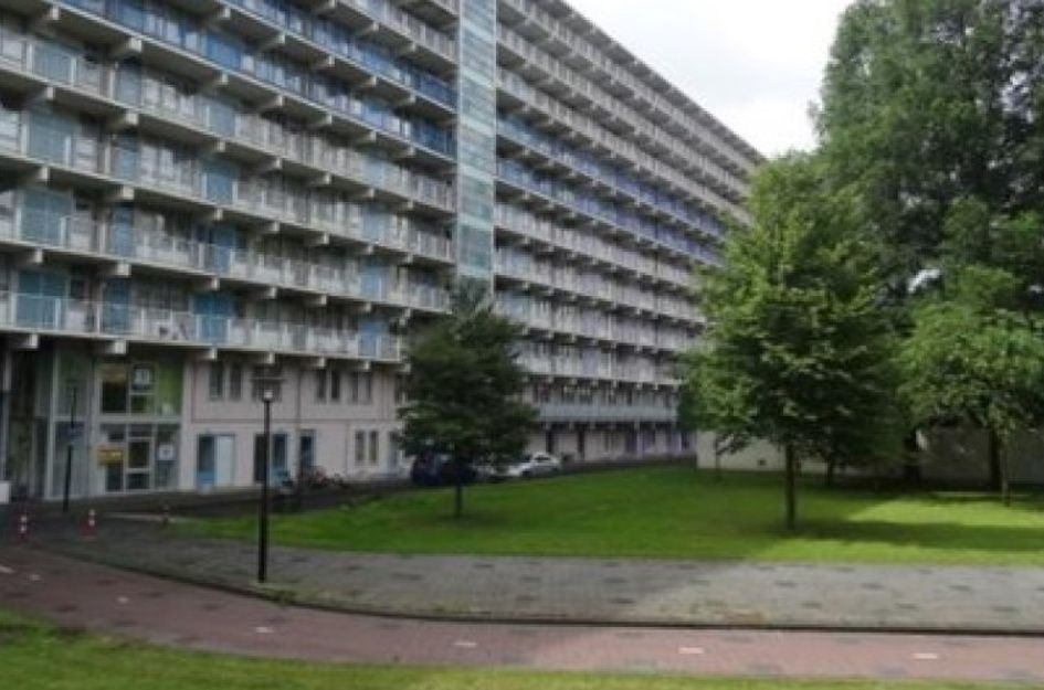 Hogevecht 