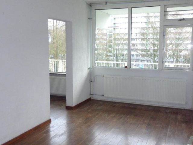 Hofgeest , Amsterdam