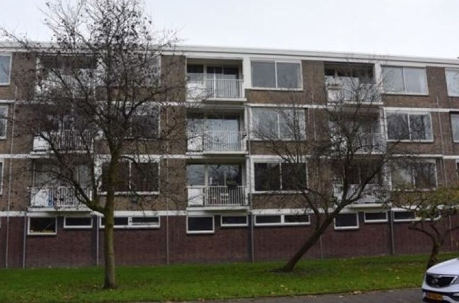 Nedersticht 