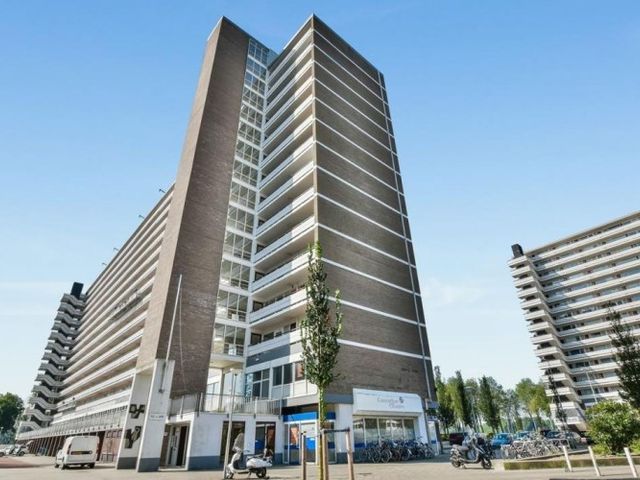 Burgemeester Hogguerstraat , Amsterdam