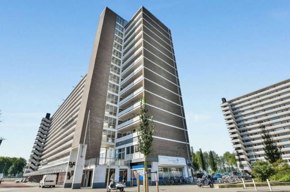 Burgemeester Hogguerstraat 