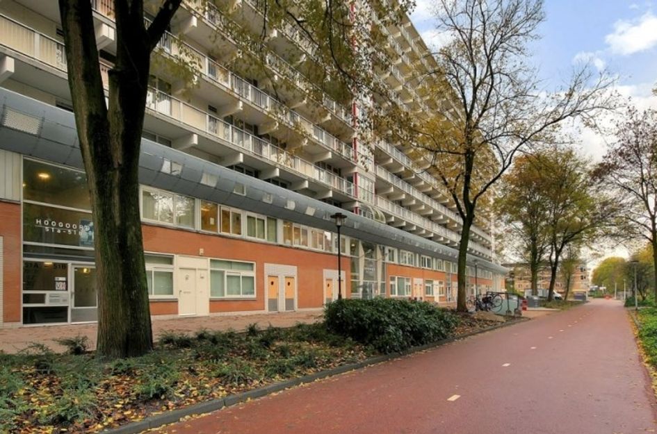 Hoogoord 