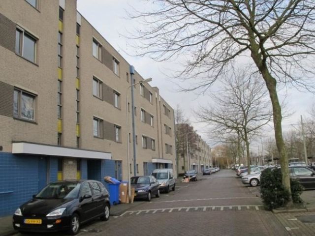 Afrikalaan , Delft