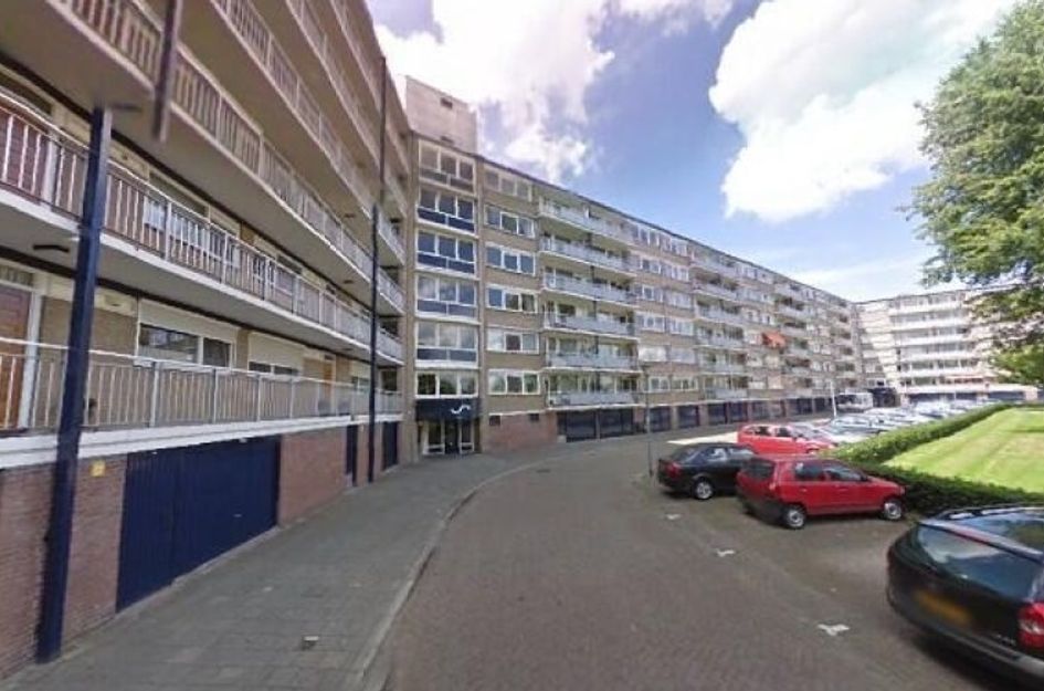Kruiskampsingel 