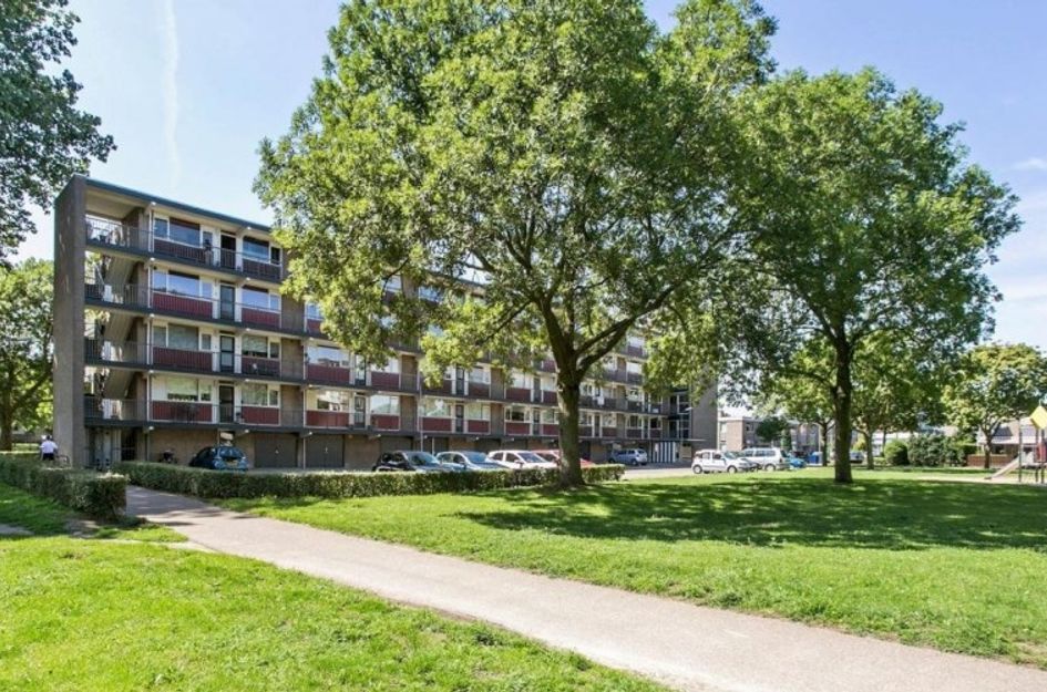 Otto Copesstraat 