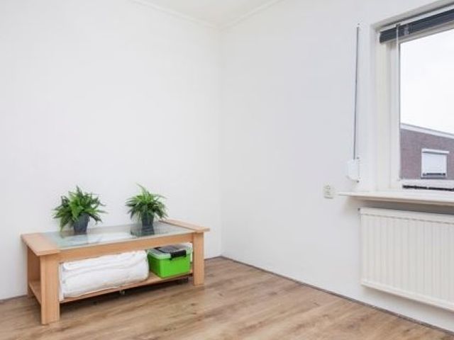 Goeverneurlaan , 's-Gravenhage