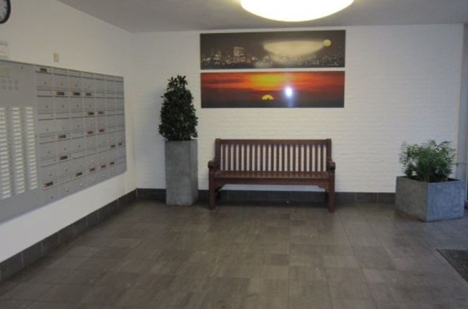 Pisuissestraat 