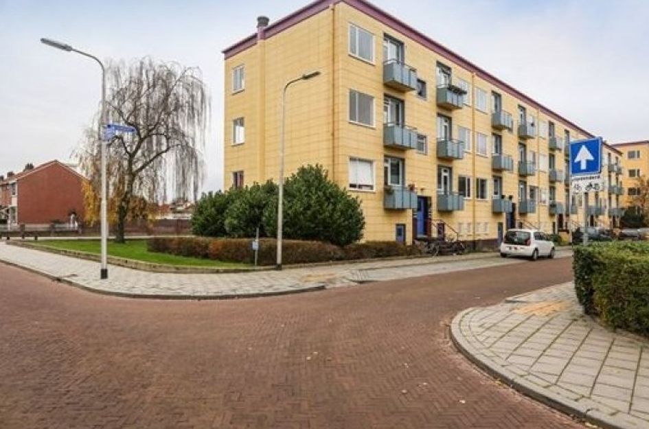 Sneeuwbalstraat 