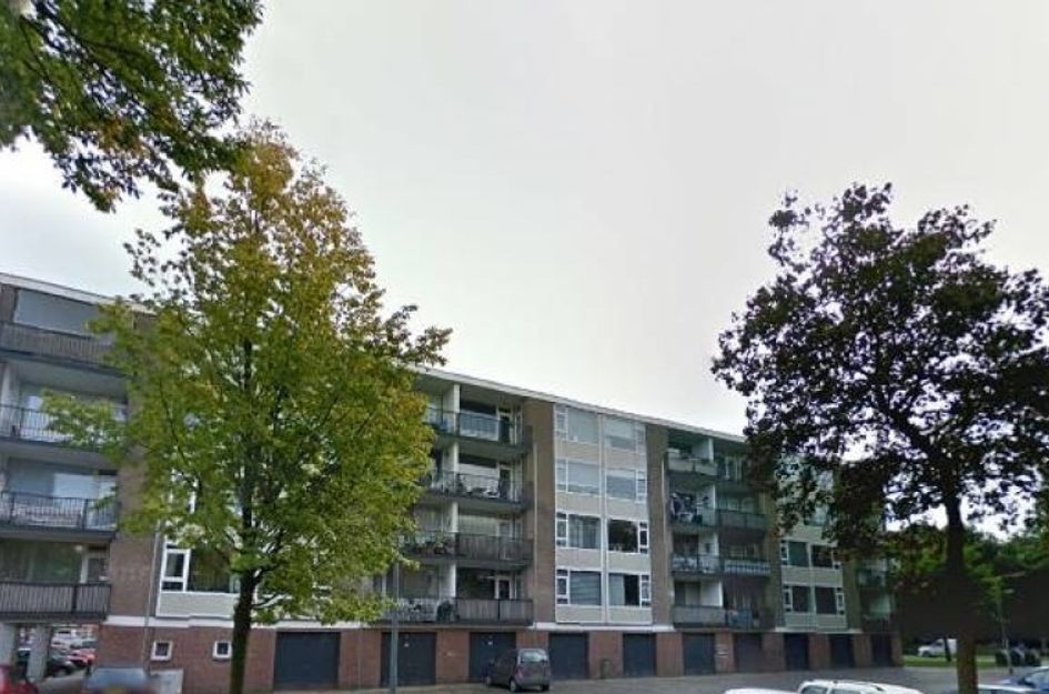 Banckertlaan 