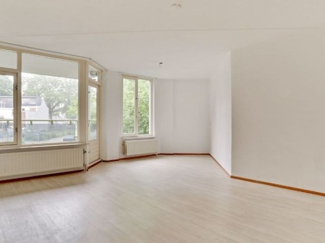 Anna Paulownahof , Tilburg