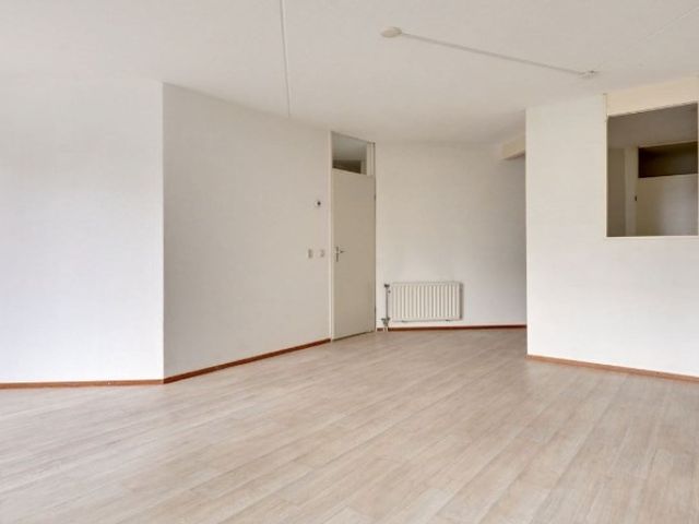 Anna Paulownahof , Tilburg