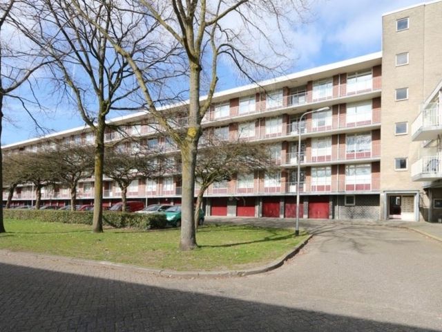 Predikherenlaan , Tilburg