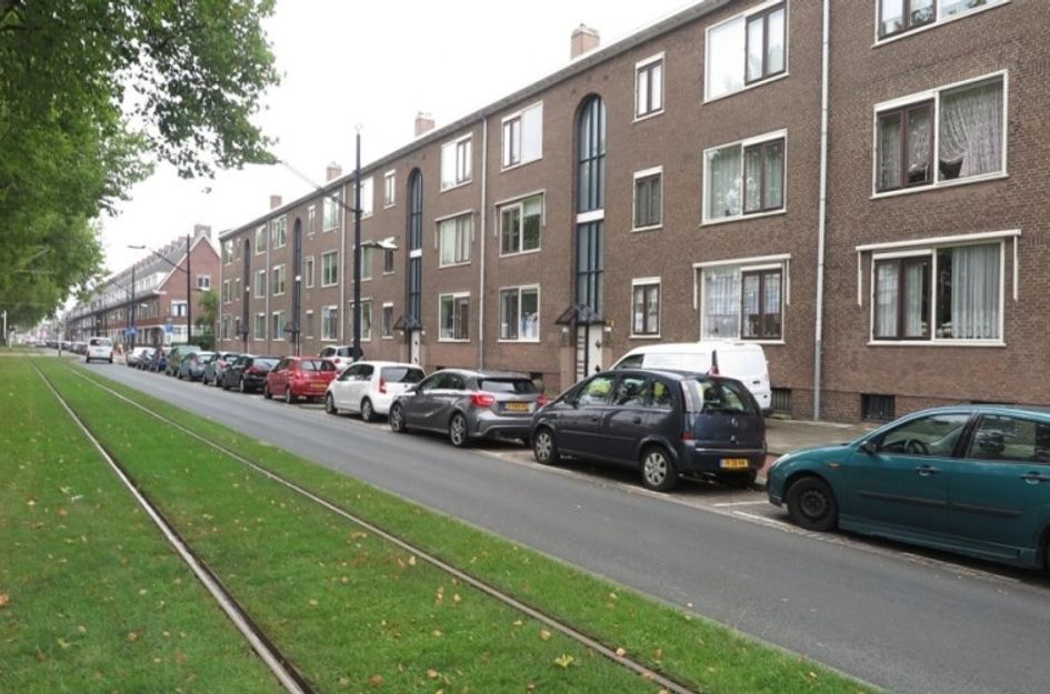 Groene Hilledijk 