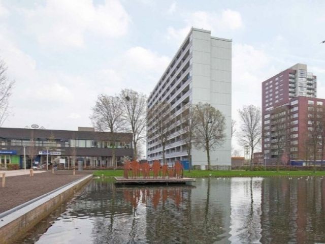 Plein 1953 , Rotterdam
