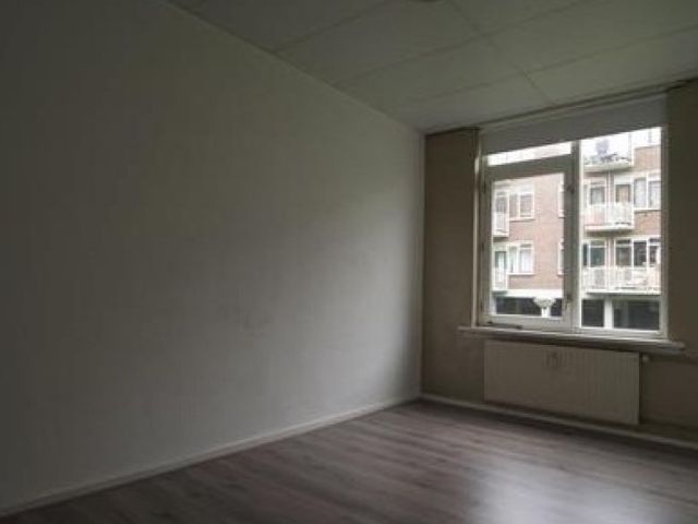 Vlinderstraat , Rotterdam