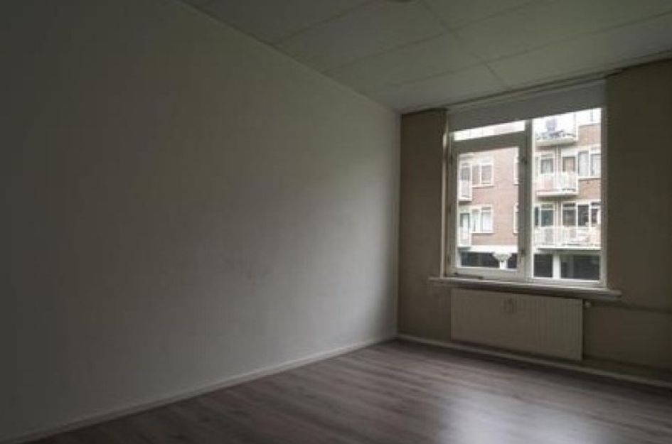 Vlinderstraat 