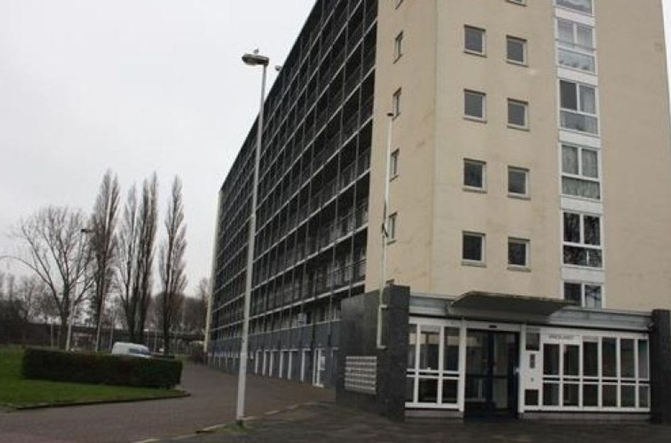 Van Adrichemweg 