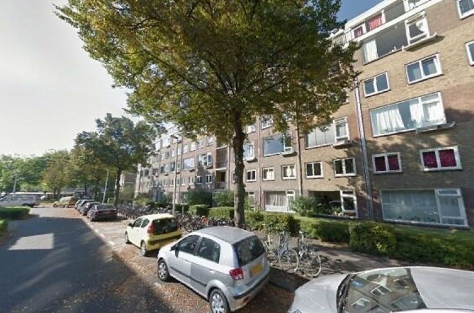 Briljantlaan 