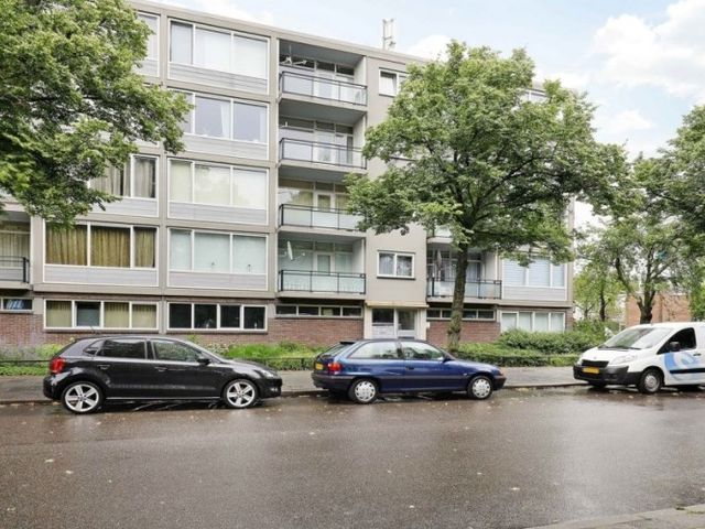 Marco Pololaan , Utrecht