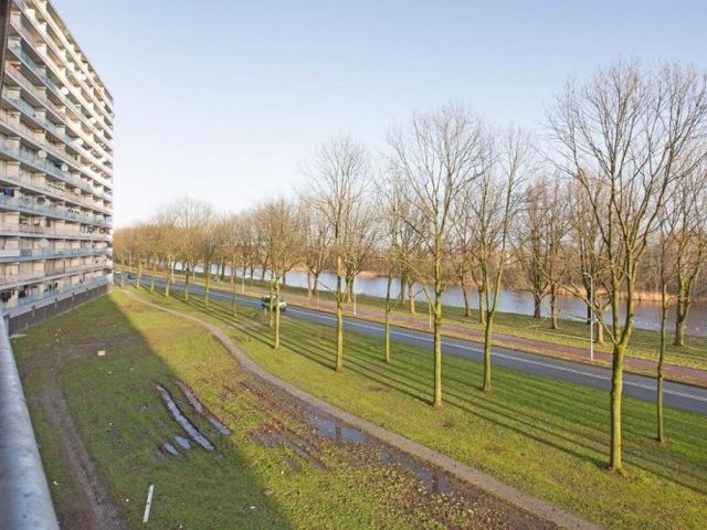Pharus , Zaandam