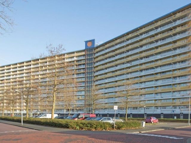 Pharus , Zaandam
