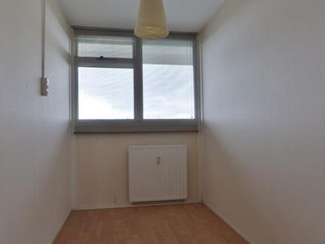 Perim , Zaandam