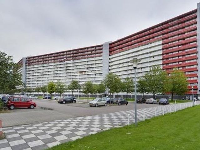 Perim , Zaandam