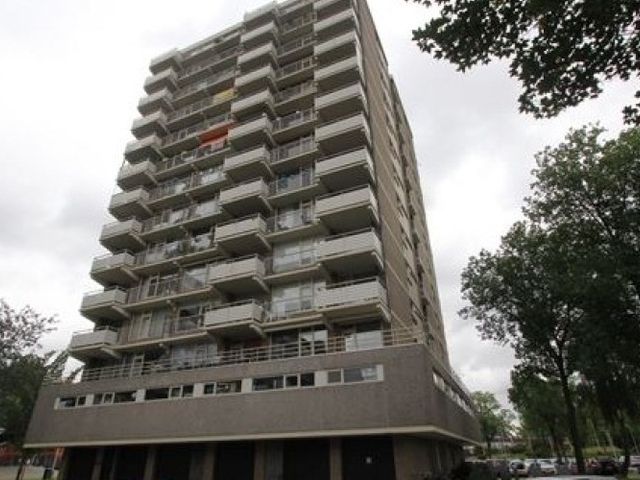 Willemstraat , Zoetermeer