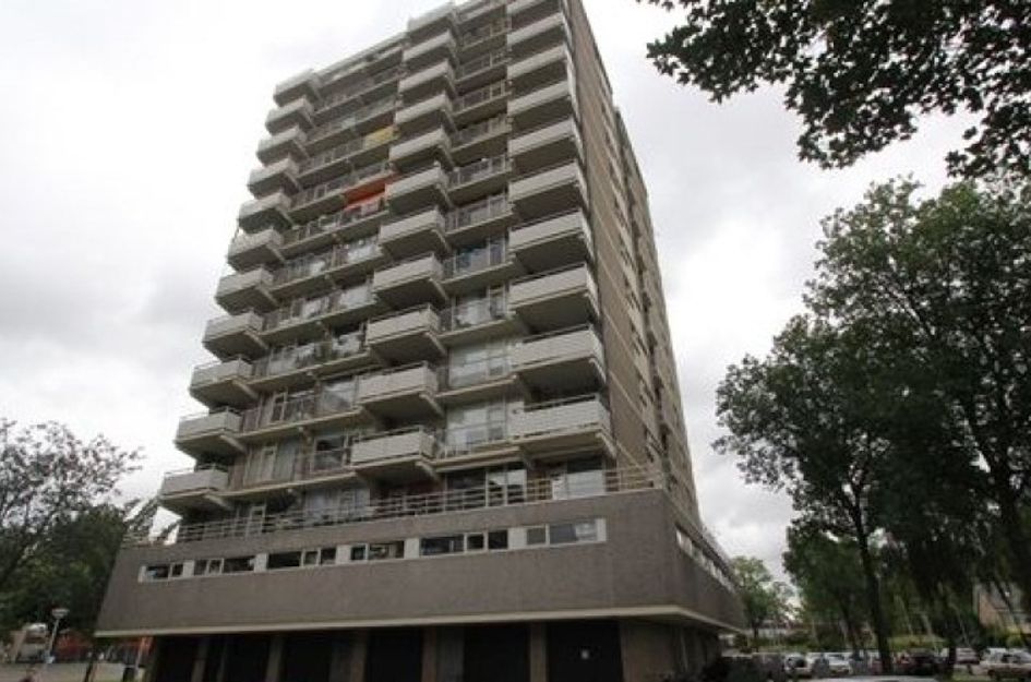 Willemstraat 