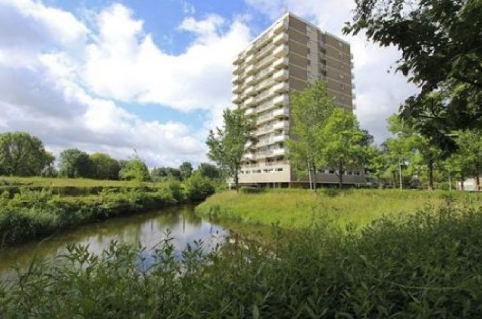 Alexanderstraat 