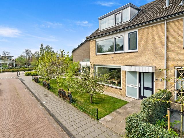 Plantage 1, Maasland