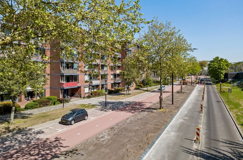 Burg de Raadtsingel 193