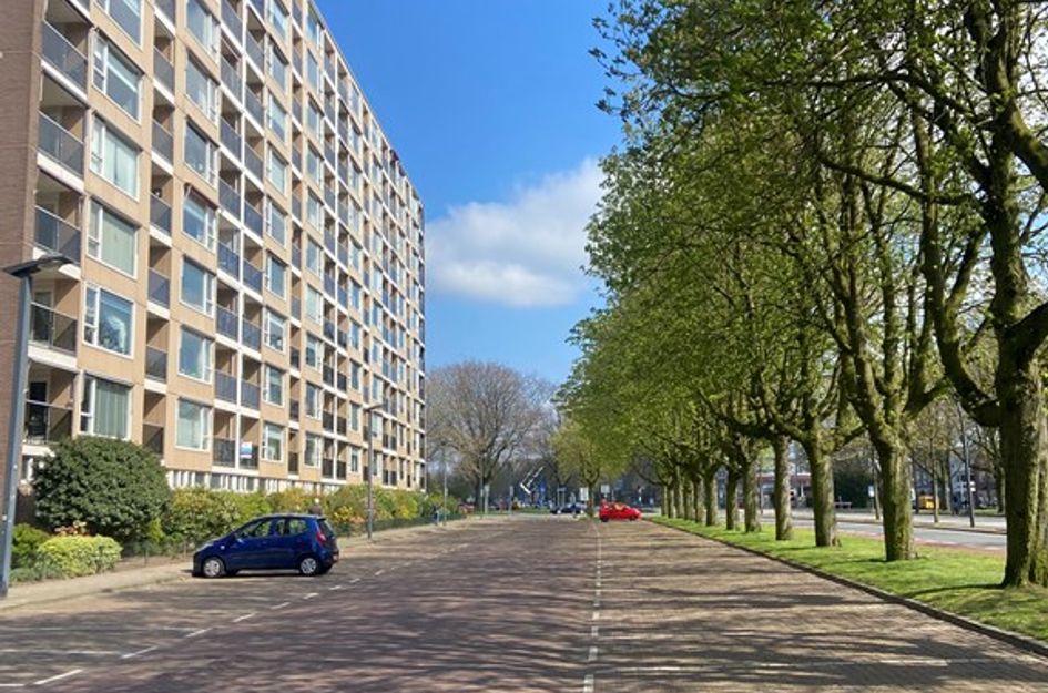 Boulevard 1945 375 111