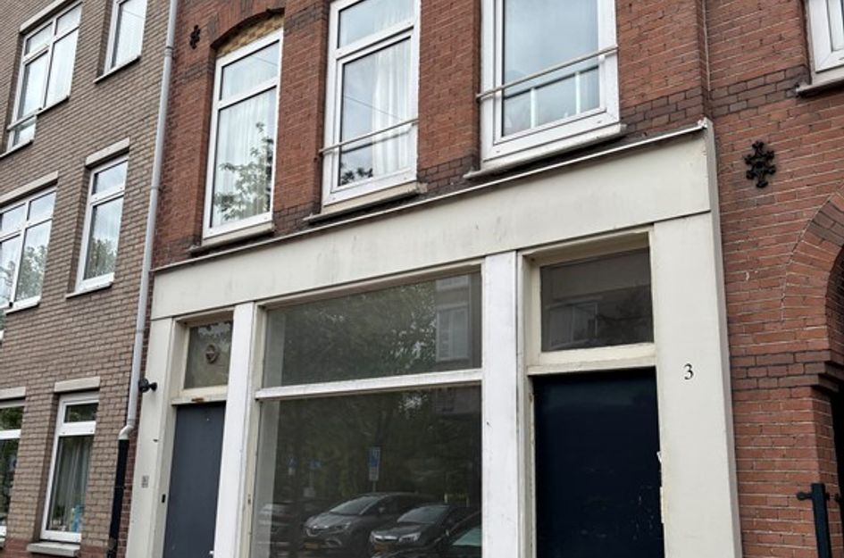 Lodewijk Tripstraat 3H