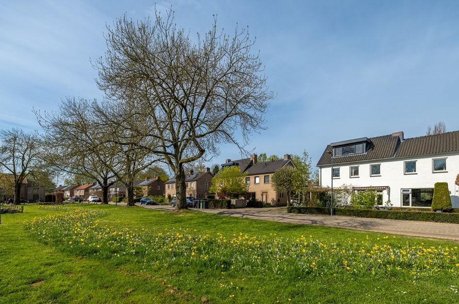 Zonneweide 15
